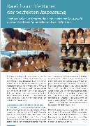 Friseur Nussmann - GALLERY