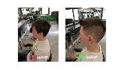 Friseur Vorhair Nachhair - GALLERY