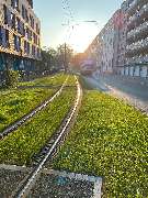 Frissen & Zohren GmbH - GALLERY