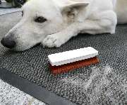 Fritze B&B GmbH - Fritze Fusselschreck® Textilbürste gegen Tierhaare