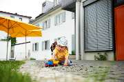 Fröbel-Kinderkrippe Marchioninistraße - Die FRÖBEL-Kinderkrippe Marchioninistraße in München-Hadern mit Blick vom Garten auf das Gebäude © 2022 FRÖBEL e.V. Alle Rechte vorbehalten
