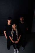 Froheads - GALLERY