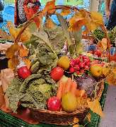 Früchte Stephan Tornes - GALLERY