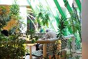 Frührehabilitation, Physikalische Medizin - Bogenhausen | München Klinik - GALLERY
