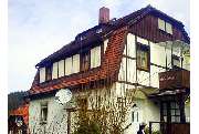 Bild von Fuchs in Neustadt - 2