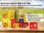 Fulminant GmbH - 1