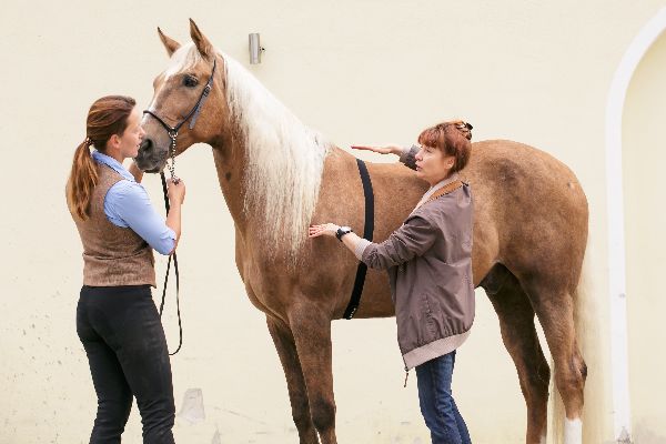 G & H Tierernährung - GALLERY