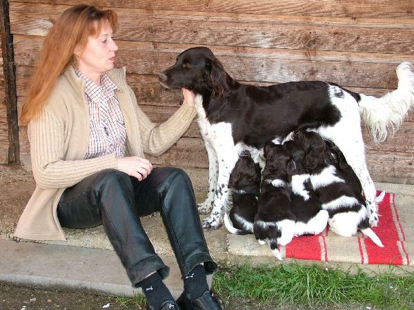 G & H Tierernährung - GALLERY