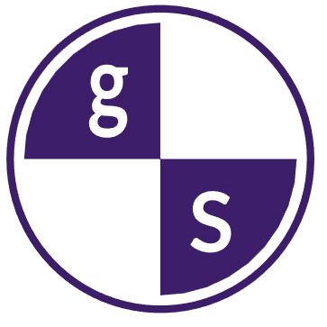 G + S Computer GmbH - LOGO