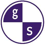 G + S Computer GmbH - LOGO