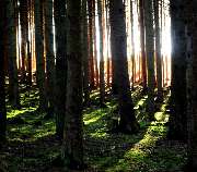 Gabriele Bremicker Praxis Freiraum - Lichtblicke