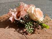 Gänseblümchen Blumen & Floristik Inh. Nicole Arndt - GALLERY