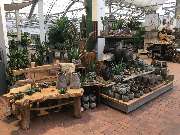 Gärtnerei Aeschlimann - GALLERY