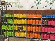 Gärtnerei Aeschlimann - GALLERY