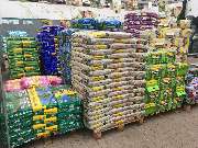 Gärtnerei Aeschlimann - GALLERY