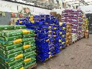 Gärtnerei Aeschlimann - GALLERY