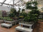 Gärtnerei Aeschlimann - GALLERY