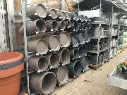 Gärtnerei Aeschlimann - GALLERY