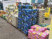 Gärtnerei Aeschlimann - GALLERY