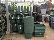 Gärtnerei Aeschlimann - GALLERY