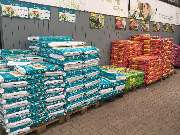 Gärtnerei Aeschlimann - GALLERY