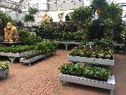 Gärtnerei Aeschlimann - GALLERY