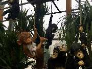 Gärtnerei Aeschlimann - GALLERY