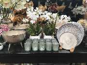 Gärtnerei Aeschlimann - GALLERY