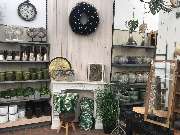 Gärtnerei Aeschlimann - GALLERY