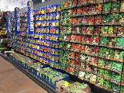 Gärtnerei Aeschlimann - GALLERY