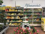 Gärtnerei Aeschlimann - GALLERY