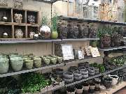 Gärtnerei Aeschlimann - GALLERY