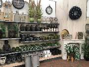 Gärtnerei Aeschlimann - GALLERY