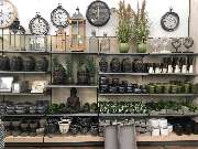 Gärtnerei Aeschlimann - GALLERY