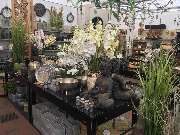 Gärtnerei Aeschlimann - GALLERY