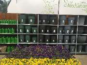 Gärtnerei Aeschlimann - GALLERY