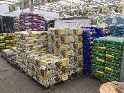 Gärtnerei Aeschlimann - GALLERY