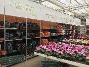 Gärtnerei Aeschlimann - GALLERY