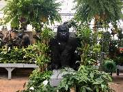 Gärtnerei Aeschlimann - GALLERY