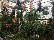 Gärtnerei Aeschlimann - GALLERY