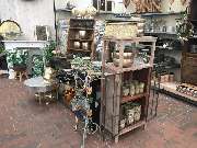 Gärtnerei Aeschlimann - GALLERY