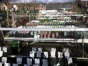 Gärtnerei Aeschlimann - GALLERY