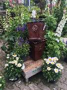 Gärtnerei Aeschlimann - GALLERY