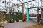 Gärtnerei Aeschlimann - GALLERY