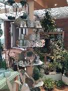 Gärtnerei Beneke - GALLERY