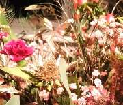 Gärtnerei Gerhard Keller - GALLERY