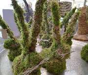 Gärtnerei Gerhard Keller - GALLERY