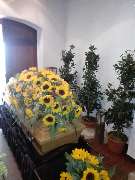 Gärtnerei Gerhardt - GALLERY