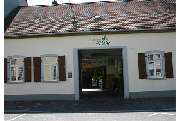 Gärtnerei Hohe - GALLERY