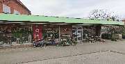 Gärtnerei Koop - GALLERY